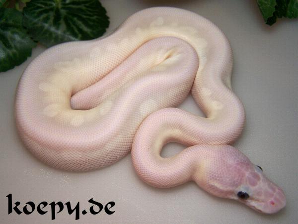Vanilla Pastel Crystal
