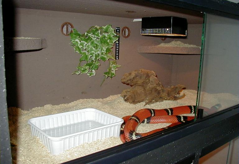 fertiges Styro-Terrarium
